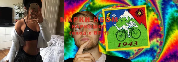 PSILOCYBIN Алзамай