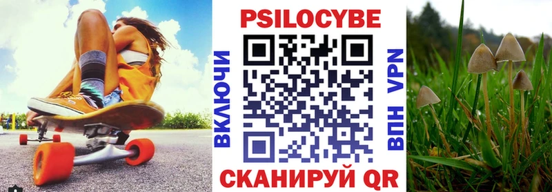 Галлюциногенные грибы Magic Shrooms  закладки  Качканар 