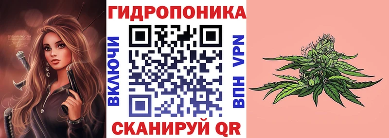 mega маркетплейс Качканар shop телеграм Марихуана THC 21%